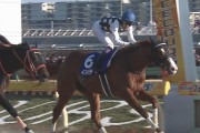 【競馬】武豊がフェブラリーSで負けた時に言いそうなこと