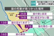 埼玉の中学校での切りつけ犯、猫切断事件への関与をほのめかす