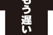【悲報】なろう主人公「パーティ追放されたけど見返してやったぜｗｗ」←これ