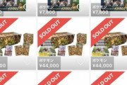 【悲報】ポケモンカード、またも品薄商法で転売ヤーの餌食になる…