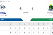 【試合結果】ヤクルト1-6日ハム　アビラ7回途中6失点で3連敗