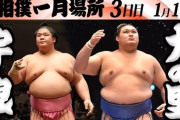 横綱・大の里と宇良の取り直しに海外相撲ファン騒然！←「日本人横綱への贔屓が酷い！」(海外の反応)