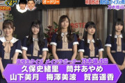 【乃木坂46】乃木坂ちゃん、意外と大きかった…w