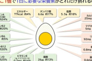 【画像】たまご、栄養ありすぎワロタｗｗｗｗｗｗ
