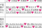 【悲報】メスガキさん、○学生なのに語彙力がすごすぎる