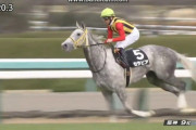 【競馬・ヴィクトリアM】セラピアさん、破格の猛時計！！令和の快速逃げ馬誕生か？！