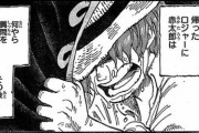 【ONEPIECE -ワンピース】謎の人「ワンピースの正体は1話でもう出ています」←これｗｗｗ