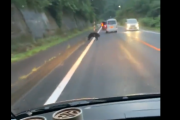 【動画】森の熊さん　車にタックルしてしまう?