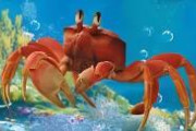 ディズニー実写版『リトル・マーメイド』、セバスチャンが想像以上に“ただの蟹”だと全米で話題に。