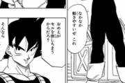 ベジータ「貴様がその服を着ても無駄だ活躍の場がない」悟空「オメーがセルを倒しちまうからだろ？」
