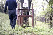 【動画】駆除反対派の妨害か。山に仕掛けた箱罠にいたずらをする人間。