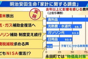 「がっつり消費税ナシにしてほしい」減税求める街の声に与野党はどう対応？石破総理は慎重姿勢　『消費減税は"コスパ"悪い』と指摘する専門家も【解説】