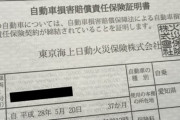 【画像】ワイの任意保険金額って安い方なの？