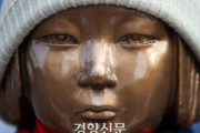 韓国紙「"ユン・ミヒャン セルフ保護法" と批判受けた慰安婦被害者法、撤回」韓国の反応