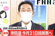 【衆院選】自民党が47の選挙区で大苦戦！激戦区では若者の票がダイレクトに影響を与えそうだぞ！
