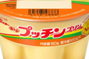 【画像】プッチンプリン、めんどくさい仕様になってるwww