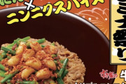 【超画像】すき家、とんでもないメニューを発売ｗｗｗｗｗｗｗｗｗ