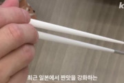 韓国人「日本人が開発した世界最先端の食器がこちらです」→「日本人はスープを箸で食べるの？」→「我々と違って箸だけで食べるね」　韓国の反応