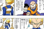 【ドラゴンボール】ベジータ「穏やかだったさ…穏やかで純粋だった、ただし純粋な悪だがな」