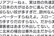 めいろま「バリアフリー、実は他の先進国より日本の方が進んでる」　津田大介「でもドイツでは…」