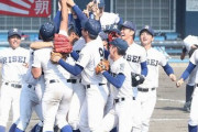 今年の夏の甲子園盛り上がらなそう