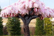 【画像】日本「88万個のレゴブロックを使って桜の木を作ってみたよ」　海外「お見事！」海外の反応