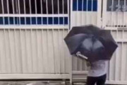 【海外の日常】 その日は大雨が降っていた。男が扉を開けるとノーリードで犬が外に飛び出した → こうなった…