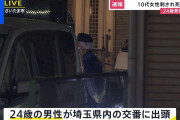 高校生とみられる10代女性が刃物で刺され死亡　24歳男性が出頭　警察が詳しい事情を聴く　さいたま市桜区のマンション