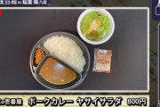【画像】藤井聡太二冠、晩飯 ココイチポークカレー(800円)サラダ付き