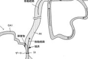 任天堂、レースコースに関する特許を取る