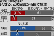 【日韓共同世論調査】日韓関係良くなる　日本 14％ → 31％、韓国  29％ → 53％  [6/9]  [昆虫図鑑★]