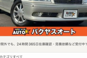 【相談】この車買っていい？？