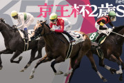 第60回 京王杯2歳ステークスGⅡ.第29回 KBS京都賞ファンタジーステークス(GⅢ)