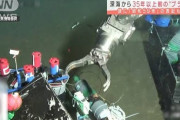 【環境】 水深千メートルの海底にレジ袋を発見 6/6