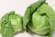 【急募】レタスとキャベツの見分け方