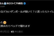 【ホロライブ】ロボ子さん、トイレットペーパーの購入数を間違えてしまいました