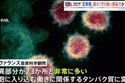【悲報】ヨーロッパでコロナ変異種が蔓延中　感染力が従来コロナの約2倍