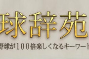 DeNA石井琢朗コーチが球辞苑に出演するらしい