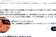 【Colaboと仁藤夢乃さんを支える会】ＮＰＯ法人ホザナ・ハウス代表理事（元暴力団）が覚せい剤使用の疑いで緊急逮捕される←速攻でサイト削除して逃亡ｗｗｗｗｗｗ