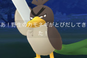 特殊な進化方法のポケモンってゲーム内で説明してるCPUとか居るの？