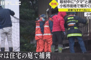 【石川】その距離5m…女性記者が取材中にクマと遭遇「焦ってしまいゆっくり後ずさりなんて出来なかった」