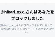 【朗報】Twitterの新機能フリート、神機能の模様www