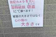 子どもが育てた花の苗が無残な姿に…花泥棒に非難殺到　被害者怒り「器物損壊、窃盗で調べます」