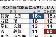 自民党総裁選岸田と河野太郎のどちらかと判明
