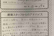 ある水族館に寄せられた相談『ホストに恋をしてしまいました』その回答がとても素晴らしかったｗｗｗ