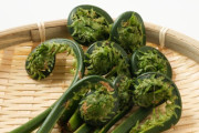 【画像】これって食べられる山菜？