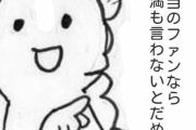 不満点も言ってこそ真のファンなところある