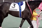 大井3Ｒで珍名馬スモモモモモモモモが初勝利！ファンから拍手起こる
