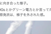 EUは原発をグリーンな投資先と認定 SDGsとかグリーン電力とか言ってた反原発派は、梯子を外された感