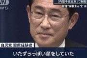 岸田総理の俺は絶対に辞めない感ってすごいよな